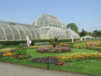 The Palm House at the Royal Botanic Gardens in Kew